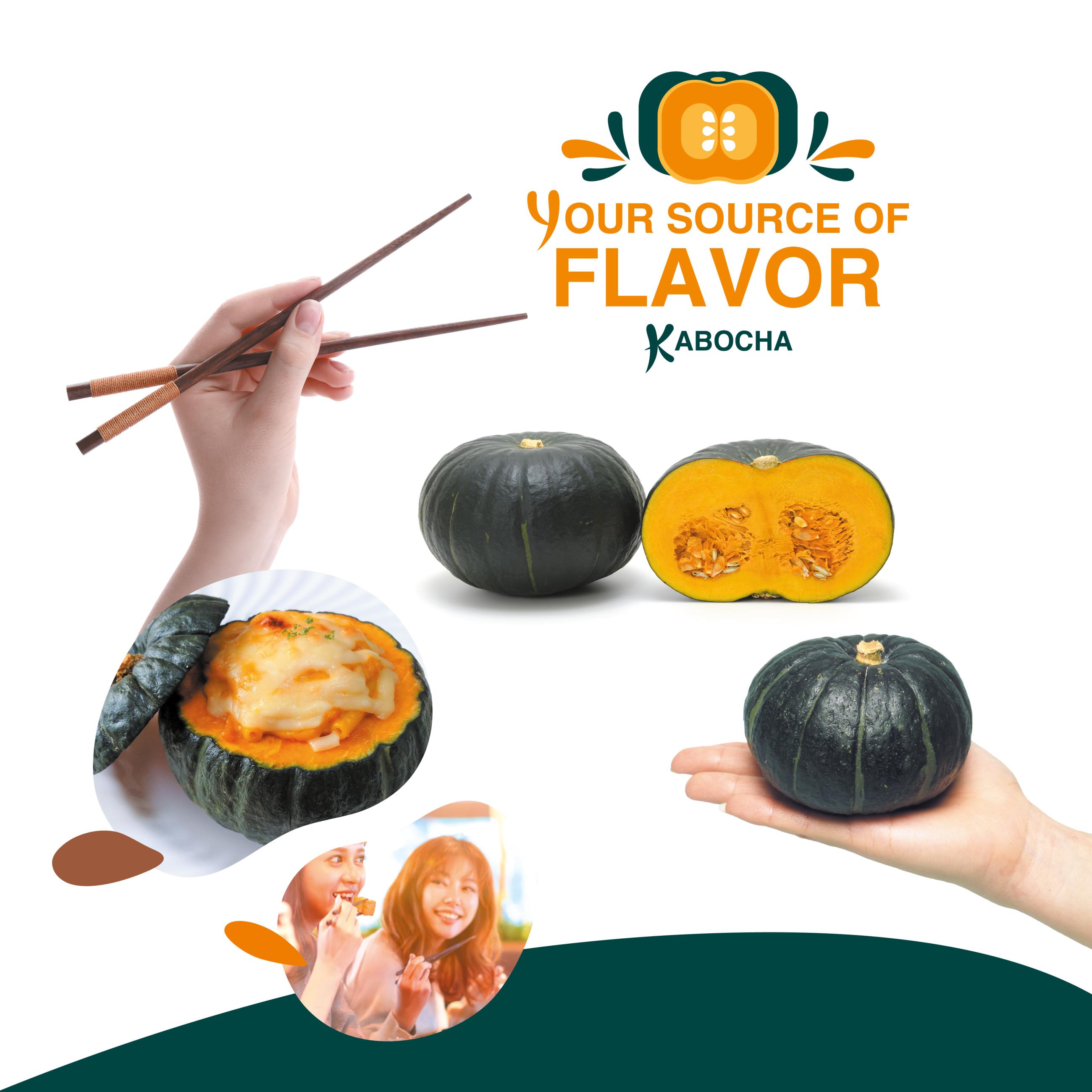 YOUR SOURCE OF FLAVOR』：味わい豊かなカボチャ品種ラインナップ